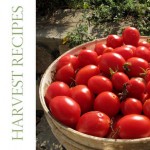 Harvest recipes 1